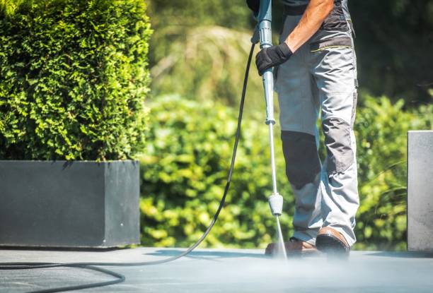 Best Graffiti Removal  in Dallesport, WA